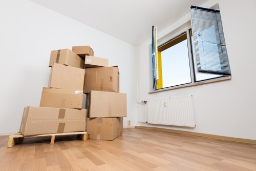 Accessibility review of an online moving service page